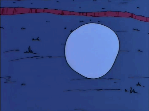 903051.gif