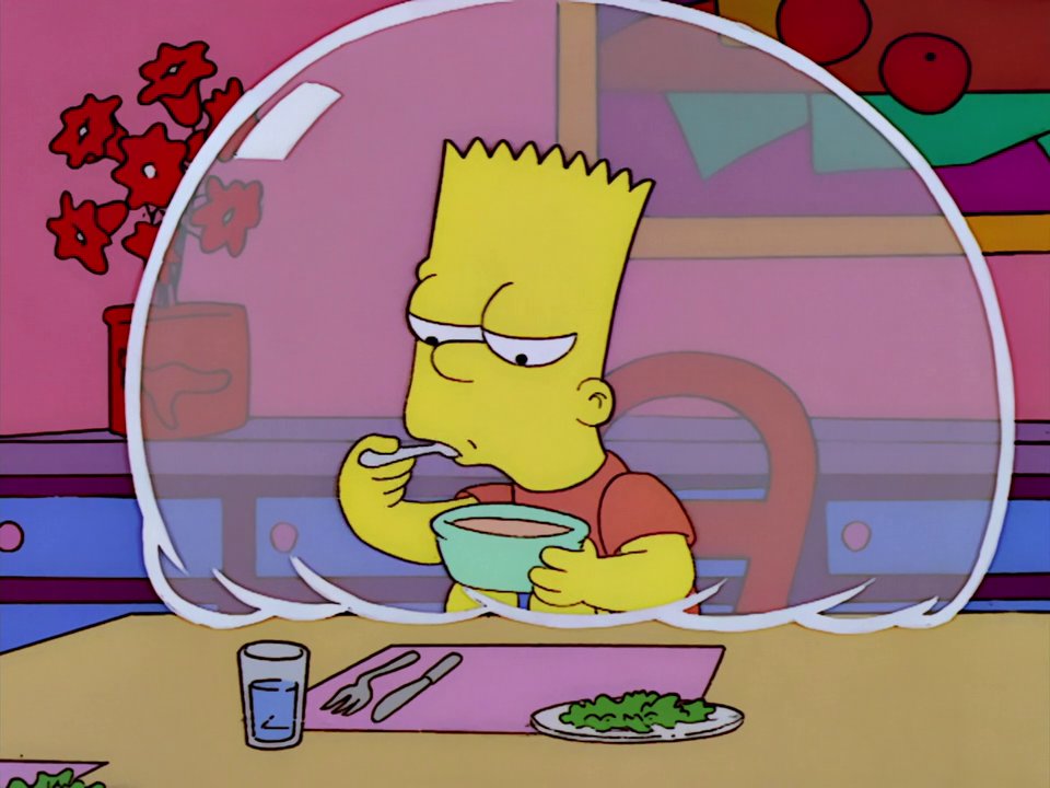 https://frinkiac.com/img/S13E20/585960.jpg