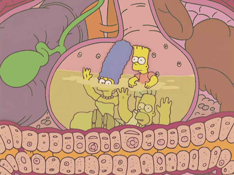 Simpsons Maypole Intestines Frinkiac - S15E13