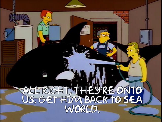 706938.jpg?b64lines=IEFMTCBSSUdIVCwgVEhF